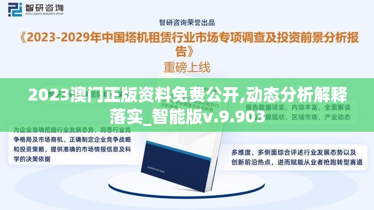 2023澳门正版资料免费公开,动态分析解释落实_智能版v.9.903