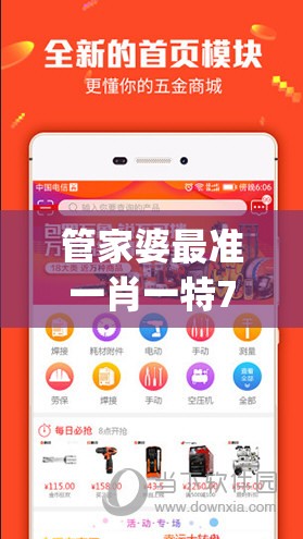 管家婆最准一肖一特7456,确保解答的绝对准确性_WP款v.2.436