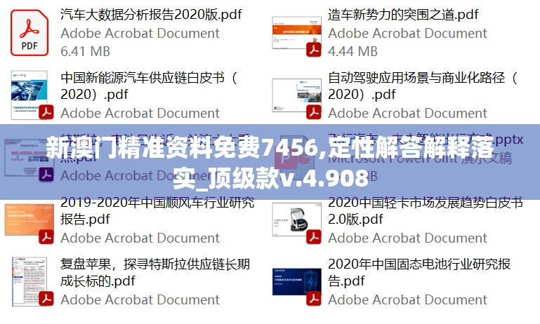 新澳门精准资料免费7456,定性解答解释落实_顶级款v.4.908