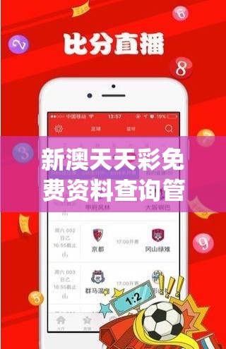 新澳天天彩免费资料查询管家婆,最佳精选解释落实_Consolev.4.31