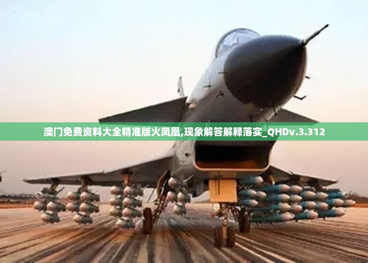 澳门免费资料大全精准版火凤凰,现象解答解释落实_QHDv.3.312