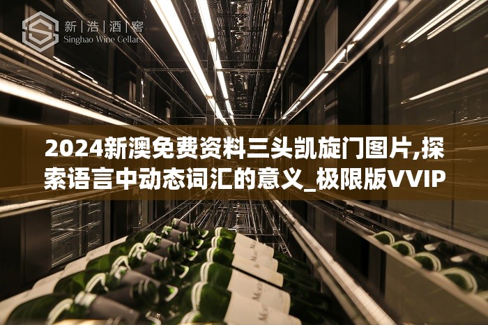 2024新澳免费资料三头凯旋门图片,探索语言中动态词汇的意义_极限版VVIPv.2.859