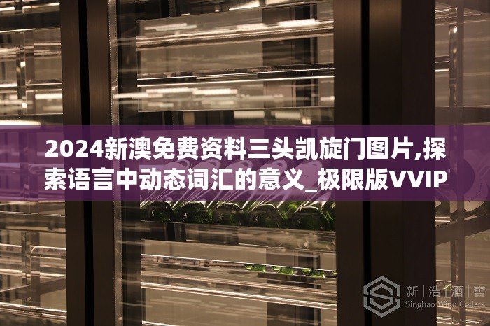 2024新澳免费资料三头凯旋门图片,探索语言中动态词汇的意义_极限版VVIPv.2.859