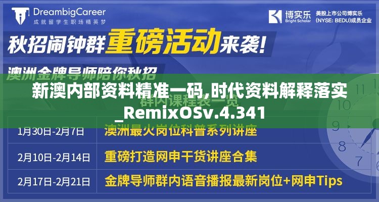 新澳内部资料精准一码,时代资料解释落实_RemixOSv.4.341