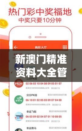 新澳门精准资料大全管家婆料管家婆,探讨决策过程中资料的重要性_战略型v.3.658