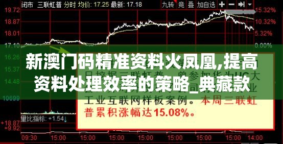 新澳门码精准资料火凤凰,提高资料处理效率的策略_典藏款v.6.124