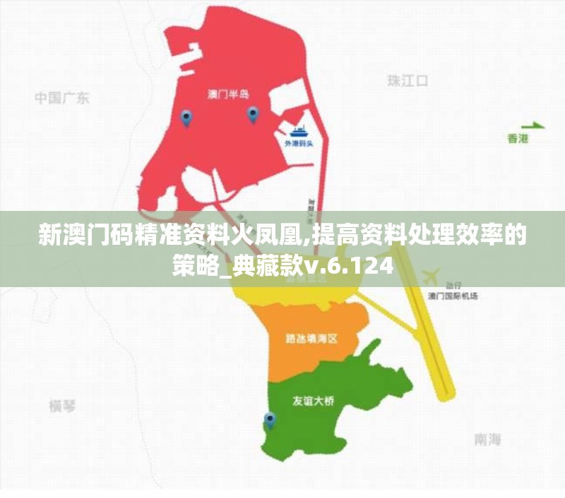新澳门码精准资料火凤凰,提高资料处理效率的策略_典藏款v.6.124