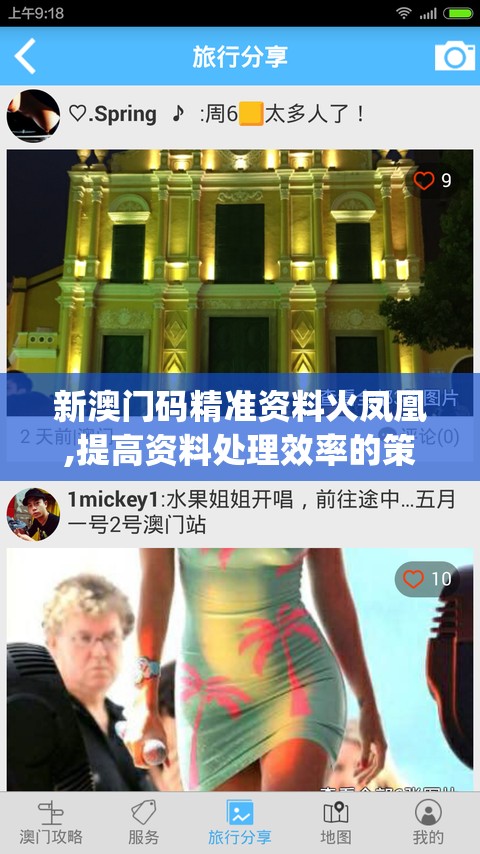 新澳门码精准资料火凤凰,提高资料处理效率的策略_典藏款v.6.124