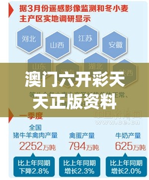 澳门六开彩天天正版资料澳门,统计数据解释落实_试用品v.0.511