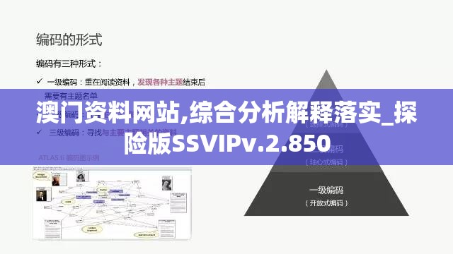 澳门资料网站,综合分析解释落实_探险版SSVIPv.2.850