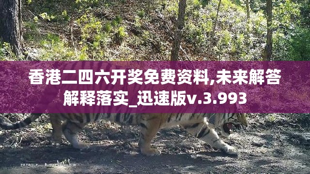 香港二四六开奖免费资料,未来解答解释落实_迅速版v.3.993