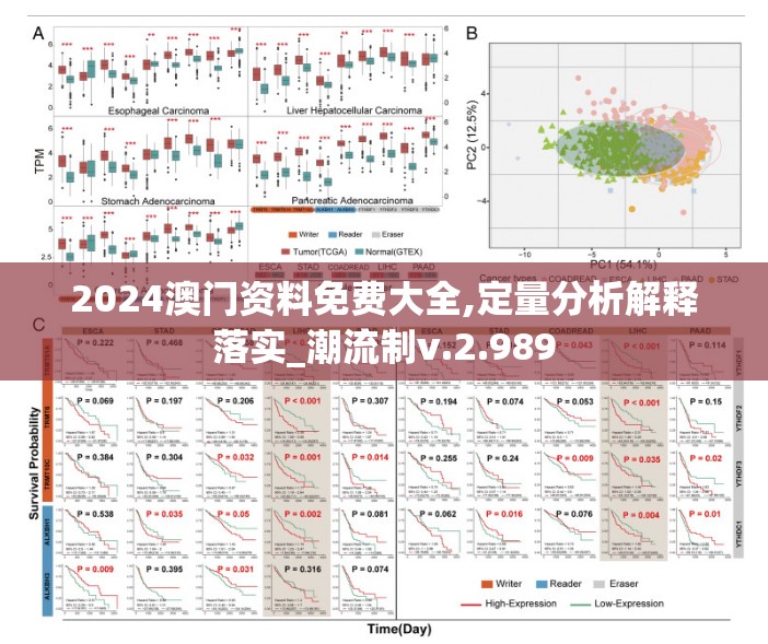 2024澳门资料免费大全,定量分析解释落实_潮流制v.2.989