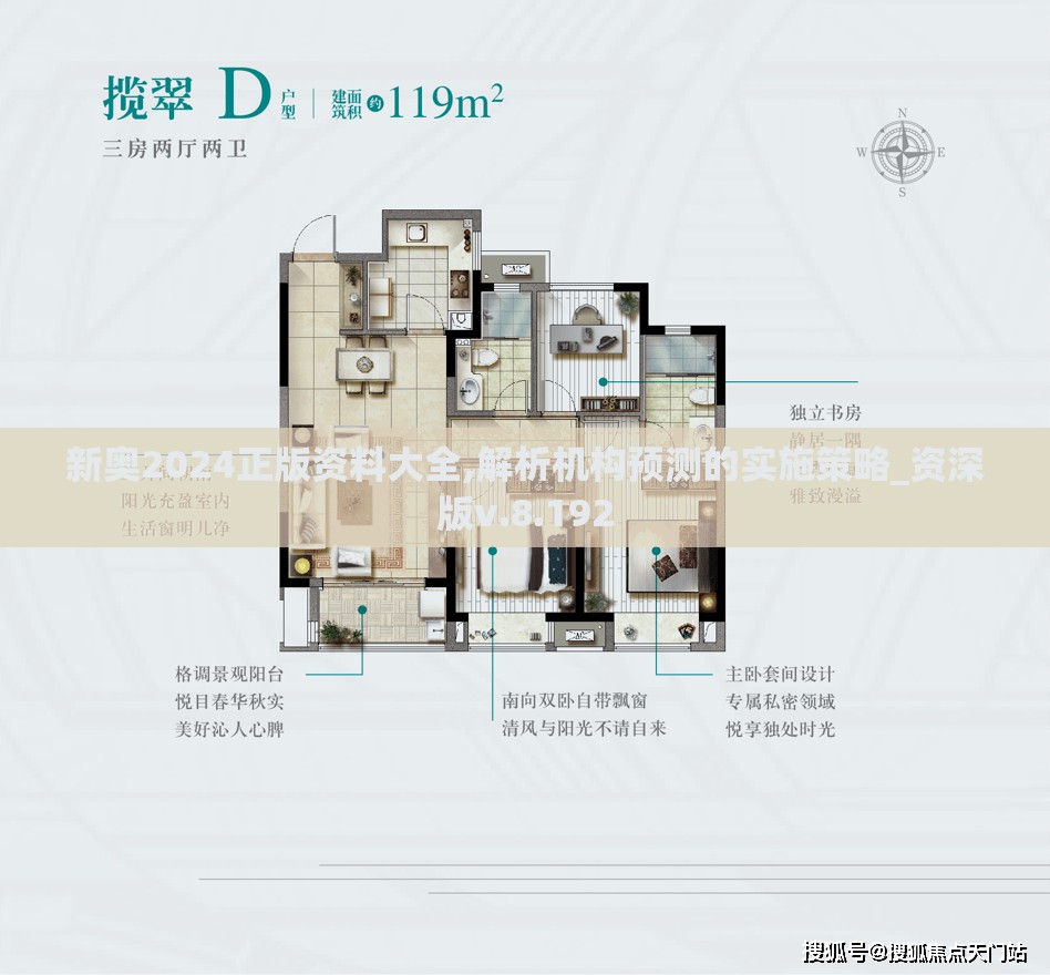 新奥2024正版资料大全,解析机构预测的实施策略_资深版v.8.192