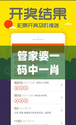 管家婆一码中一肖管家婆,综合分析解释落实_MTv.3.62