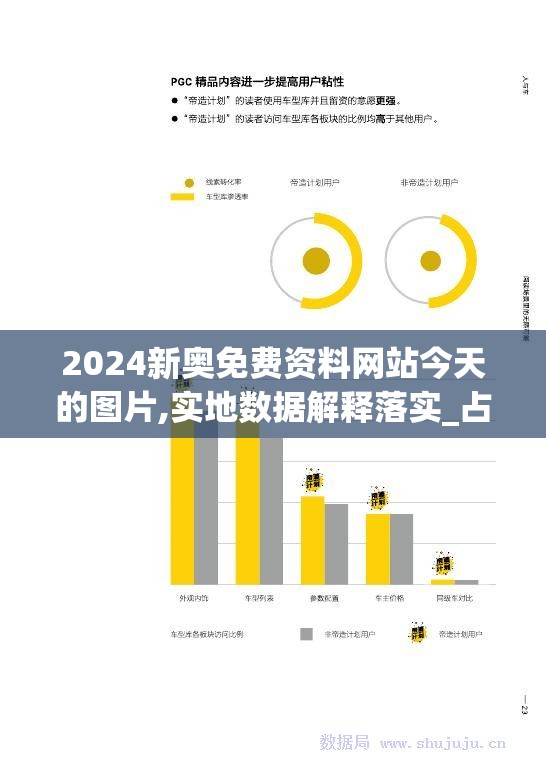 2024新奥免费资料网站今天的图片,实地数据解释落实_占位款v.6.775