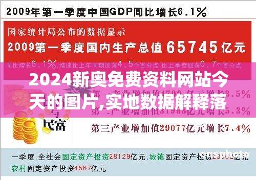2024新奥免费资料网站今天的图片,实地数据解释落实_占位款v.6.775