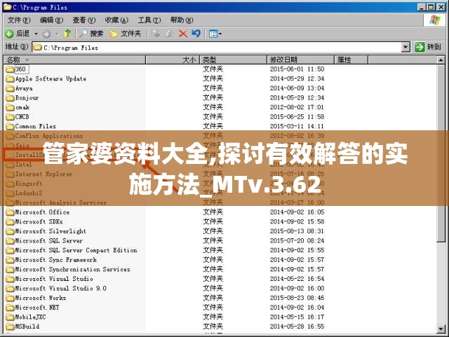 管家婆资料大全,探讨有效解答的实施方法_MTv.3.62