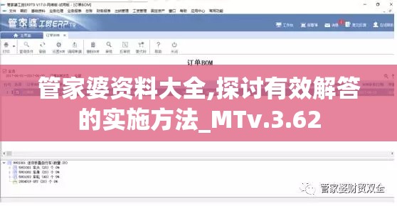 管家婆资料大全,探讨有效解答的实施方法_MTv.3.62