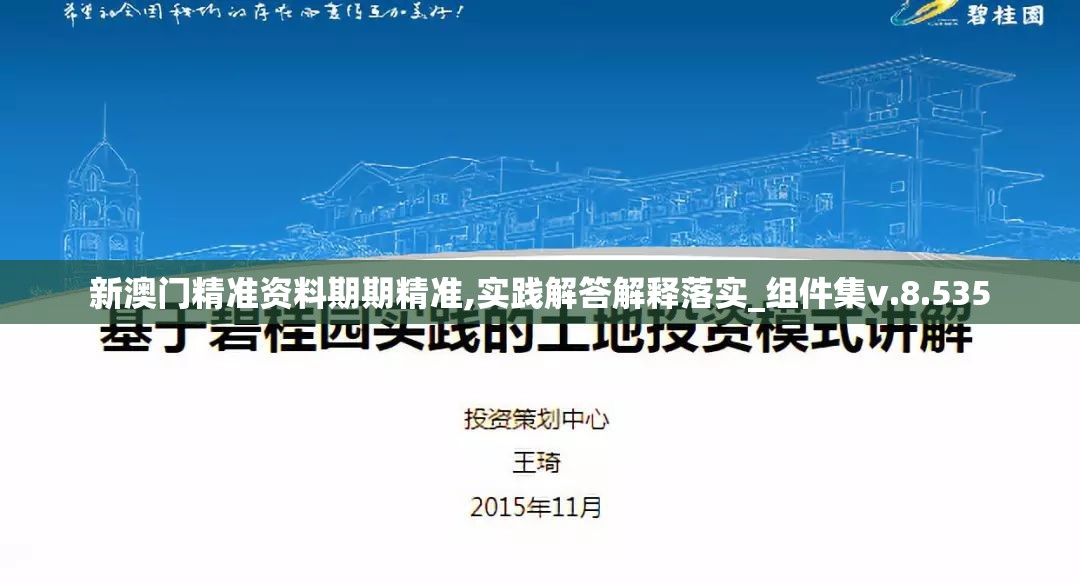 新澳门精准资料期期精准,实践解答解释落实_组件集v.8.535
