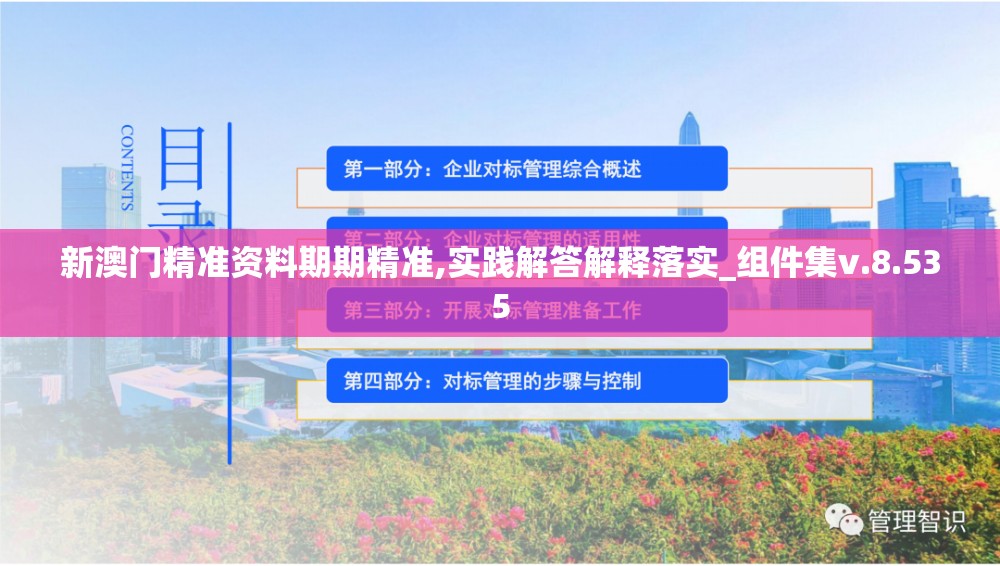 新澳门精准资料期期精准,实践解答解释落实_组件集v.8.535