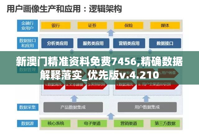 新澳门精准资料免费7456,精确数据解释落实_优先版v.4.210