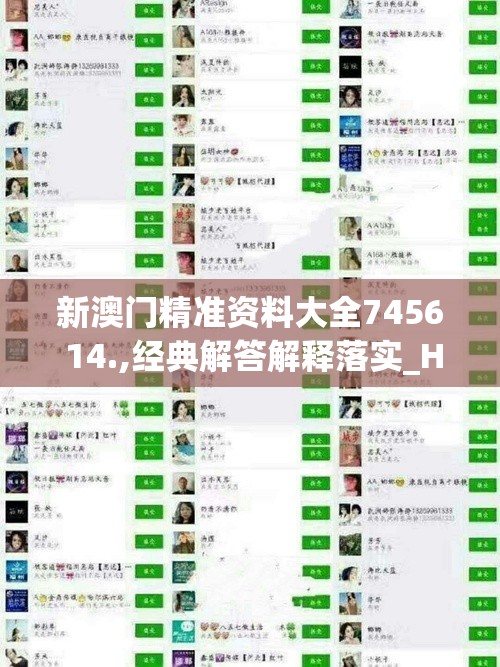 新澳门精准资料大全7456 14.,经典解答解释落实_HD集v.3.763
