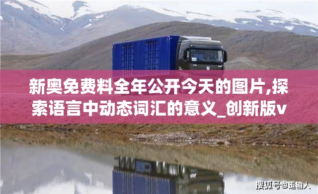 新奥免费料全年公开今天的图片,探索语言中动态词汇的意义_创新版v.4.354