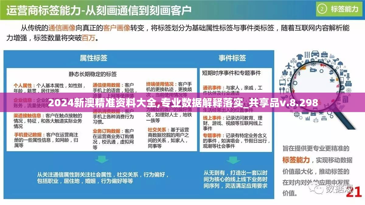 2024新澳精准资料大全,专业数据解释落实_共享品v.8.298