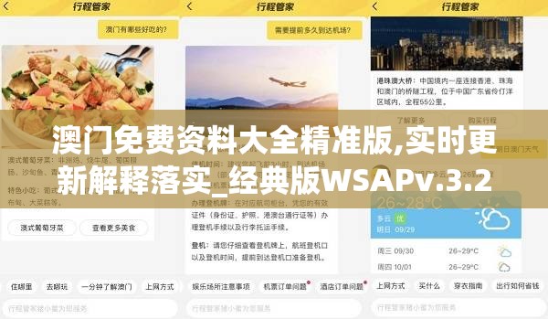 澳门免费资料大全精准版,实时更新解释落实_经典版WSAPv.3.204