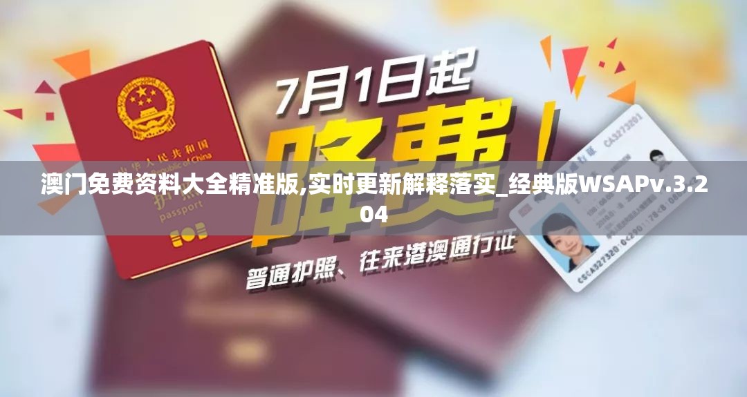 澳门免费资料大全精准版,实时更新解释落实_经典版WSAPv.3.204