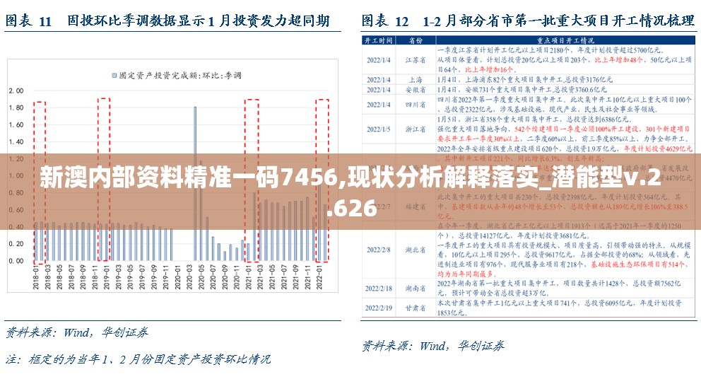 新澳内部资料精准一码7456,现状分析解释落实_潜能型v.2.626