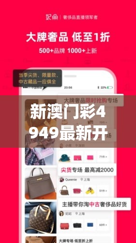 新澳门彩4949最新开奖记录管家婆,实地调研解释落实_嵌入款v.6.672