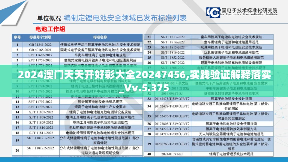 2024澳门天天开好彩大全20247456,实践验证解释落实_Vv.5.375