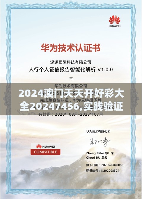 2024澳门天天开好彩大全20247456,实践验证解释落实_Vv.5.375