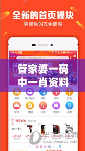 管家婆一码中一肖资料大全,详细解读解释落实_网红版IOSv.1.643