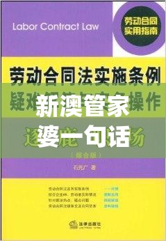 新澳管家婆一句话火凤凰,最新解答解释落实_AR版v.3.789
