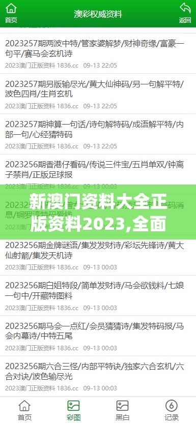 新澳门资料大全正版资料2023,全面分析解释落实_活现版v.2.180