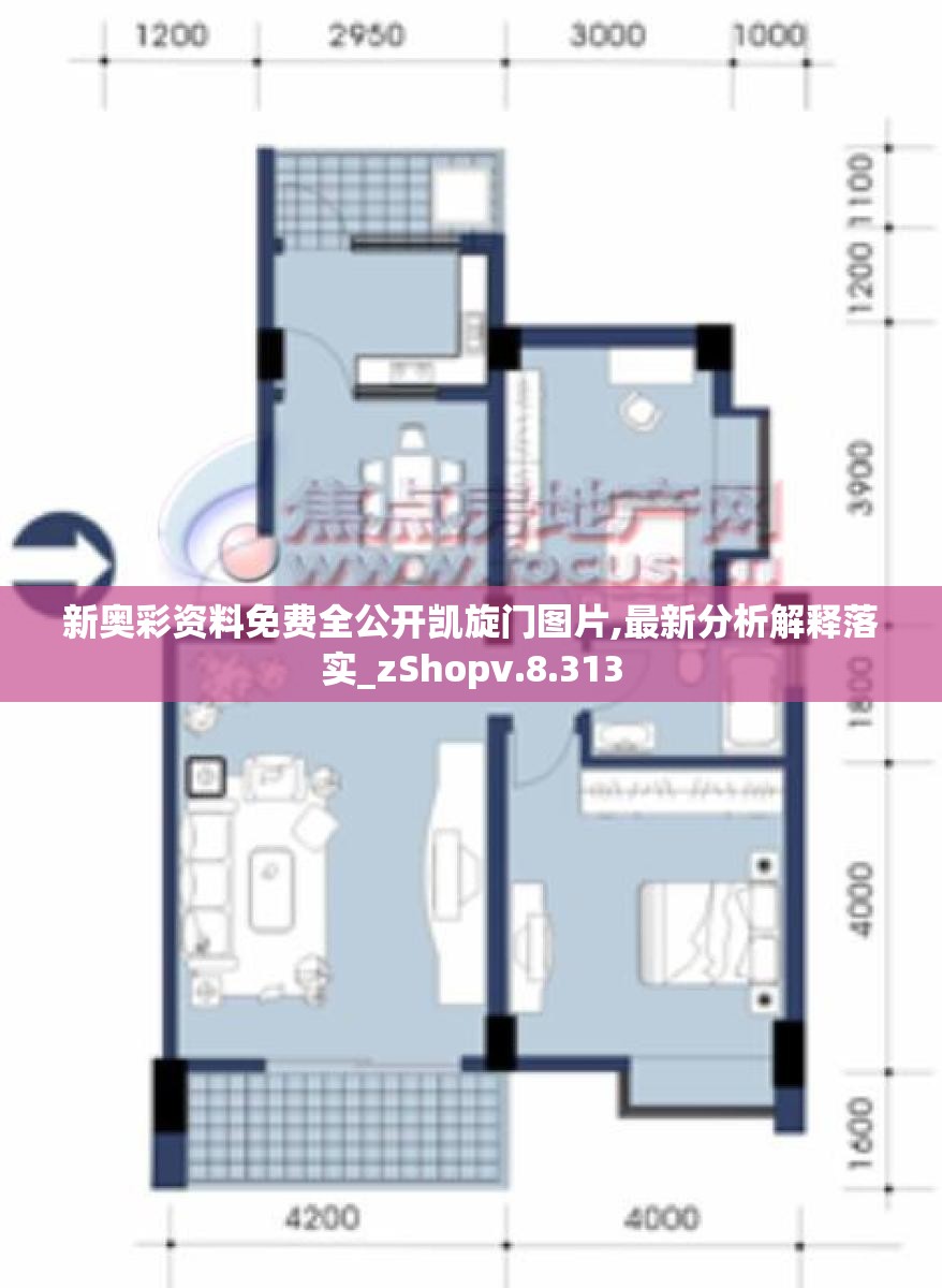 新奥彩资料免费全公开凯旋门图片,最新分析解释落实_zShopv.8.313