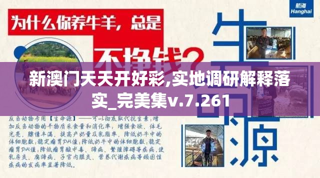 新澳门天天开好彩,实地调研解释落实_完美集v.7.261