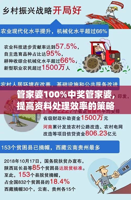 管家婆100%中奖管家婆,提高资料处理效率的策略_探险型v.4.774