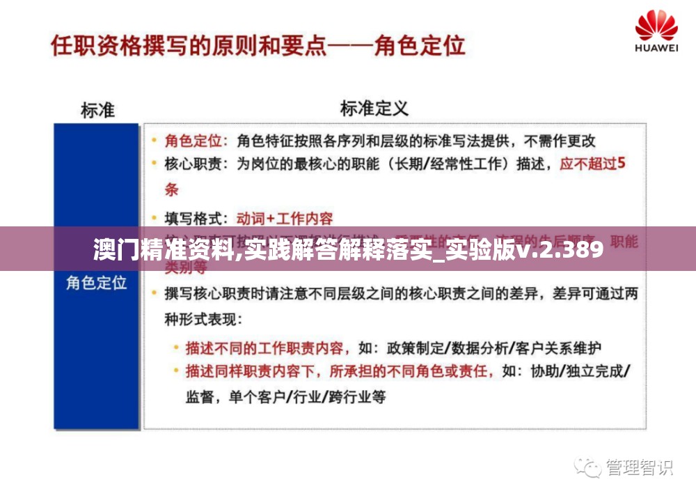 澳门精准资料,实践解答解释落实_实验版v.2.389