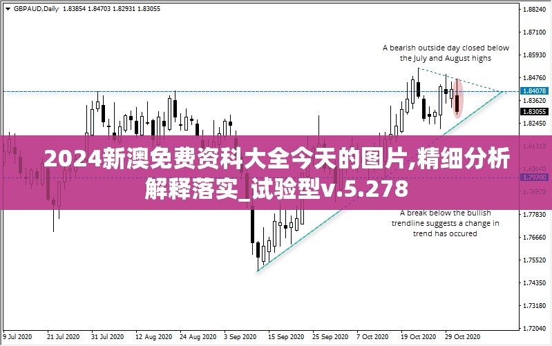 2024新澳免费资科大全今天的图片,精细分析解释落实_试验型v.5.278