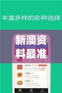 新澳资料最准的网站管家婆,定性分析解释落实_定制版v.5.468