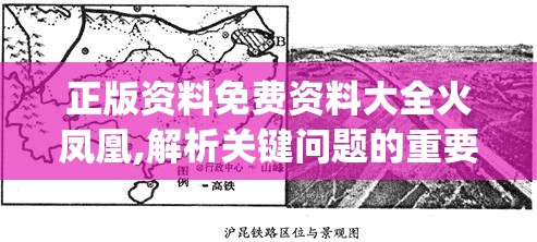 正版资料免费资料大全火凤凰,解析关键问题的重要性与实施策略_简约版v.9.8