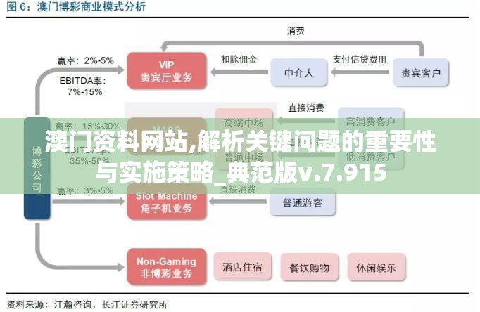 澳门资料网站,解析关键问题的重要性与实施策略_典范版v.7.915
