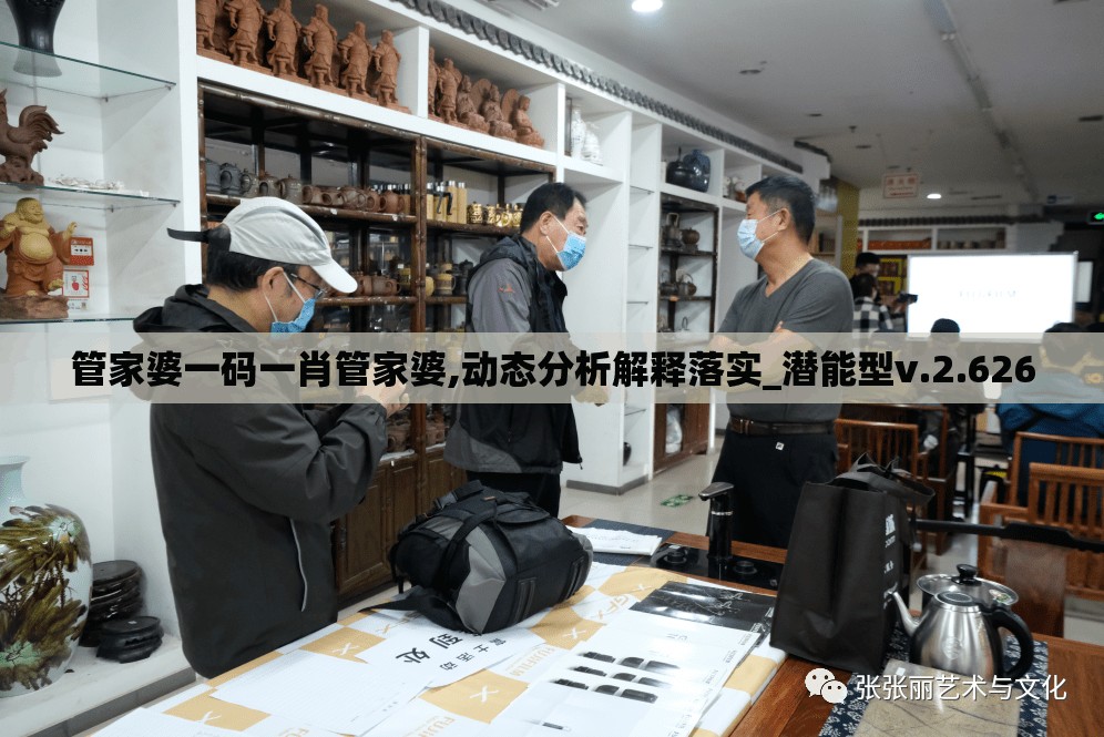 管家婆一码一肖管家婆,动态分析解释落实_潜能型v.2.626
