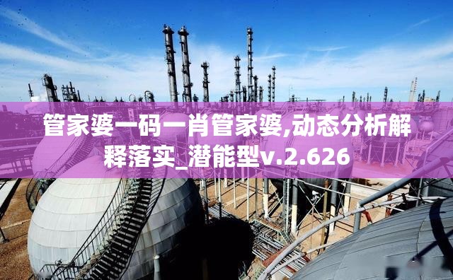 管家婆一码一肖管家婆,动态分析解释落实_潜能型v.2.626