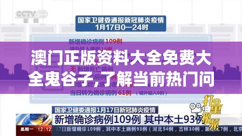 澳门正版资料大全免费大全鬼谷子,了解当前热门问题的解答_AR版v.3.789