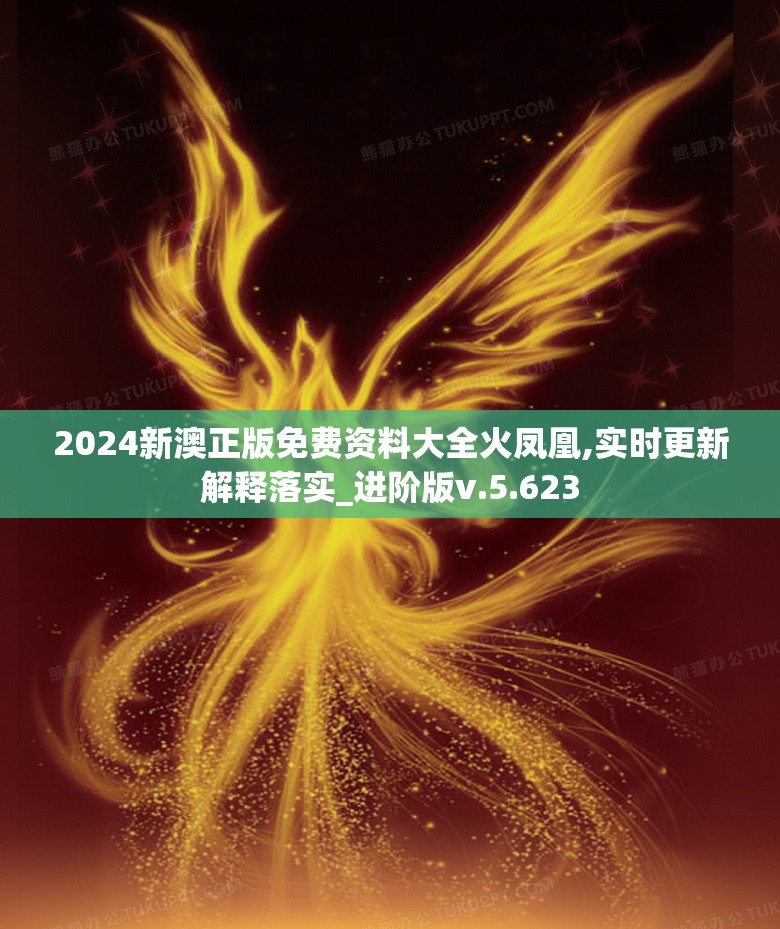 2024新澳正版免费资料大全火凤凰,实时更新解释落实_进阶版v.5.623