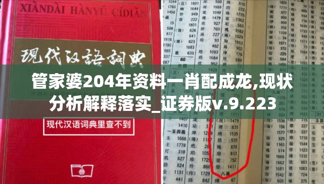 管家婆204年资料一肖配成龙,现状分析解释落实_证券版v.9.223